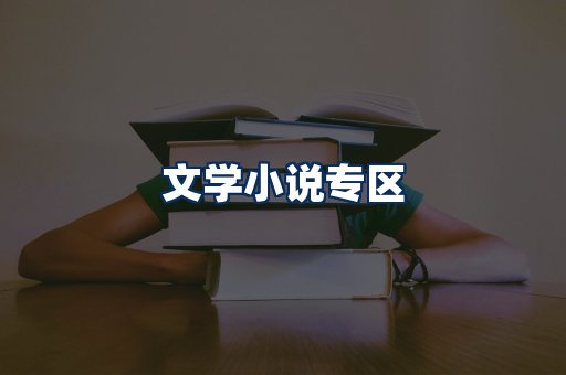文学小说PDF展示